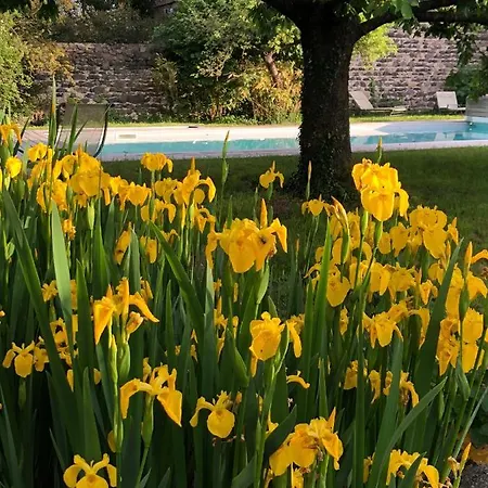 La Vigie Guest house *